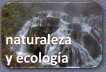 lerma007054.jpg
